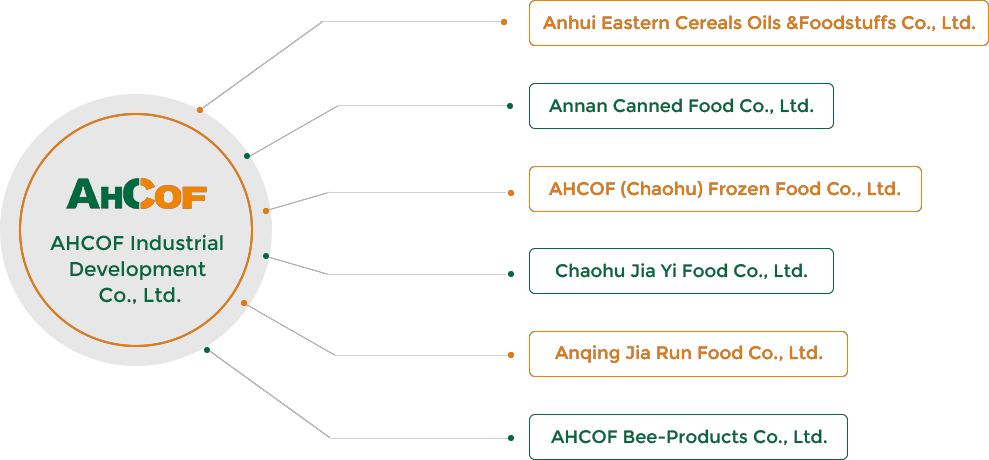 कंपनी(1)